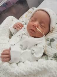 Would it be possible please for someone to remove the nose straps from my  red lab and retriever and put them with there friend in a hot tub please ..  Thank you