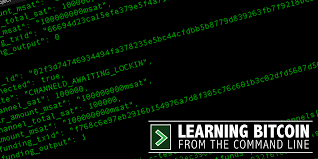 Think of the satoshi as the cents part of bitcoin. Github Blockchaincommons Learning Bitcoin From The Command Line A Complete Course For Learning Bitcoin Programming And Usage From The Command