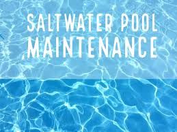 How to take care of an above ground saltwater pool. How To Fix Common Saltwater Pool Problems Dengarden