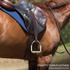 Highlights of my video review: Total Saddle Fit On Twitter Stability Stirrup Leathers Bring Unmatched Security To A Rider S Leg Try Them For A Month And If They Re Not A Total Game Changer We Will Pay Your Shipping