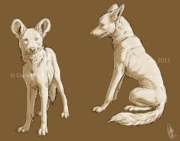 Humans (obviously), and fantasy creatures with normal human faces that are relatively close to normal humans. Drawing Poses Dog Drawing Reference