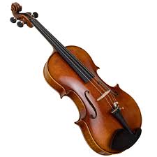 Image result for Viola