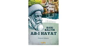 Some masters of craft may work in paints, and others, wood. Sari Saltik Abi I Hayat Osman Azman 9789752566231 Amazon Com Books