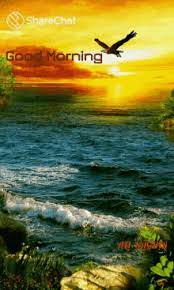 Find and download the perfect nature video for any project. Beautiful Good Morning In Nature Gif 2021