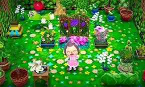 Animal Crossing Addict Animal Crossing Happy Home Designer New Leaf