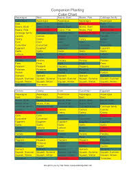 companion planting color chart my square foot garden