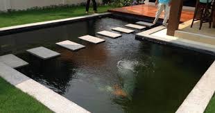 Modern Pond Thai Garden Ponds Backyard Garden Pond Design Pond Design
