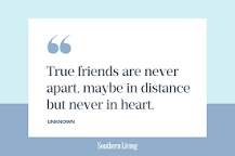 50 Cute Best Friend Quotes About True Friendship