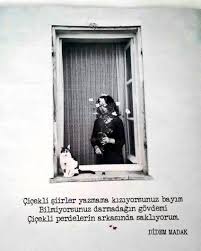 Purcaholic Siir Romantik Sozler Edebiyat