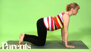 Basic yoga poses cat cow time to hit the yoga mat if you are suffering with back pain. Prenatal Yoga Poses The Cat Cow Parents