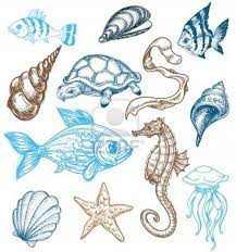 Read reviews from world's largest community for readers. Marine Life Drawing Sea Animals Drawings Sea Creatures Drawing Marine Life Art