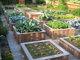 Construire Un Potager Sureleve Pour Jardiner Debout Potager Sureleve Amenagement Jardin Jardin Potager