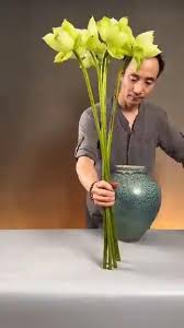 rose sturgess (rosecsturgess)