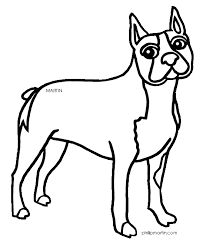 Preference runs to more blue than black on the body. Boston Terrier Coloring Page Coloring Home