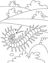 Centipede On A Field Round Coloring Pages Download Free Centipede On A Field Round Coloring Page Insect Coloring Pages Coloring Pages Coloring Pages For Kids