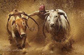 Bali Photo Tours W David Lazar Rarindra Prakarsa Photo Tour Photo Bali