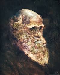 Portrait Of Charles Darwin Charles Darwin Art Illusion Art