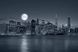 For example, divorce lawyers work with clients to dissolve a marriage and help them to determine how best to divide common property. New York Divorce Lawyer Dror Bikel Book Nyc Are Divorces Different