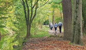… to the west and the bois de vincennes to the east. Uses And Expectations Of Visitors To The Bois De Boulogne And Bois De Vincennes Woods Analysis Of Survey Results Carried Out During The Summer Of 2019 By The City Of Paris Apur