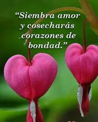 Sembrando Amor Flores Corazon Sangrante Amor