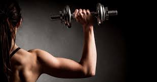 We did not find results for: Insekten Proteine Fur Sportler Food Insects