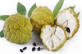 7 Health Benefits Of Custard Apples Or Sharifa You Didn T Know Thehealthsite Com سیٹافیل آئس کریم کی ویڈیو ترکیب ۔ کھانا پکانے کی ویڈیو تراکیب ۔ 7 health benefits of custard apples or
