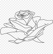 Rose Line Drawing At Getdrawings Rose Line Drawing Png Image With Transparent Background Toppng The ultimate list of resources and tutorials for. rose line drawing at getdrawings rose