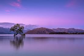 Huge selection of high quality free wallpaper download, celebrities, mobile, iphone, windows 7 high quality desktop wallpapers downloads, hd wallpapers and images. Landscape Wallpapers Free Hd Download 500 Hq Unsplash