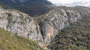 Σκυρόδεμα, παραγωγή και μεταφορά αλεποχώρι αχαΐας. O Katarrakths Ths Kardias Sto Alepoxwri Axaias Video Patras Events