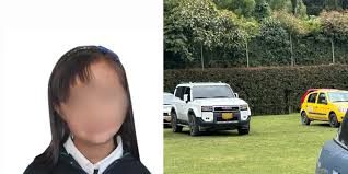 Valeria Afanador: Aumenta Recompensa y Continúa Búsqueda en Cajicá - Imagen principal del artículo