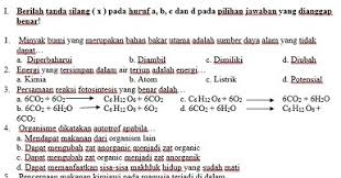 Materi soal pts 1 ipa kelas 7 smp mts diambilkan dari setengah materi ipa semester 1 kelas 7 smp/mts kurikulum 2013 edisi revisi terbaru. Download Contoh Soal Pts Ipa Kelas 7 Semester 2 K13 Tahun 2020 Beritapppk Com
