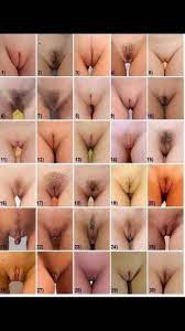 Different Types Of Vaginas Nude