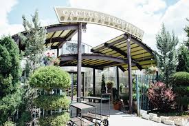 Salt lake city & cactus & tropicals by kaye shaye on vimeo, the home for high quality videos and the people who… Cactus Tropicals Green With Envy