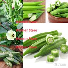 Penanaman kacang tanah dilakukan dengan cara ditugal dengan jarak tanam 25×25 cm. Jual 10 Biji Benih Green Lady S Fingers Abelmoschus Esculentus Kacang Bendi Hijau Lendir Sayur Okra Gumbo Murah Mei 2021 Blibli