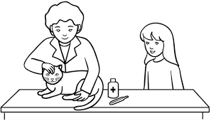 10 frases para festejar a estas increíbles personas en el día del médico veterinario zootecnista se festeja y agradece el trabajo que realizan todos los profesionales que cuidan la salud de los animales, entre ellos, nuestras queridas mascotas. Dibujos De Veterinario Para Colorear