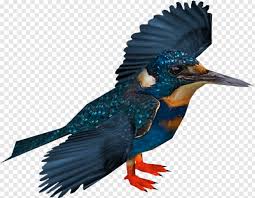 We did not find results for: Kingfisher Logo Free Icon Library