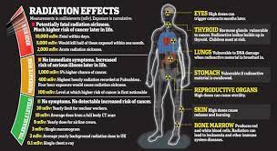 Effects Of Radioactivity Live Chemistry Help Nuclear Radiation Radiation Exposure Radiation Therapy
