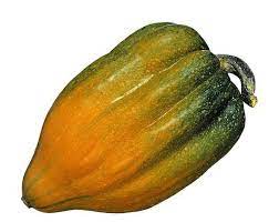Check spelling or type a new query. How To Know When An Acorn Squash Is Ripe Miss Chen Garden Manage Gfinger Is The Best Garden Manage App