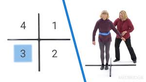 Image result for Four-Stage Balance Test