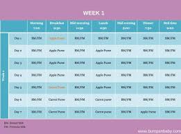 6 month old feeding schedule six month old baby baby