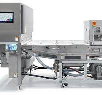 Satake BELTUZA Optical Belt Sorter