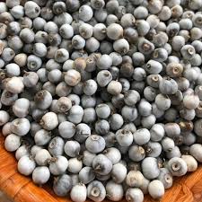 Image result for Coix lacryma-jobi