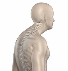 Pin On Salud