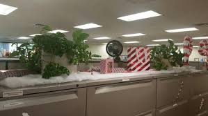 Candy Cane Lane Candy Cane Candy Cane