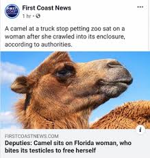 The woman also had to be hospitalized and the. Even For Me This Is New The Florida Man Report Facebook
