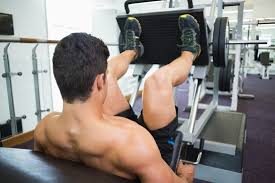 Possibly the most common lower back exercise used in gyms today. Squats Vs Leg Press Do I Need To Do Both Fitness 19 Gyms