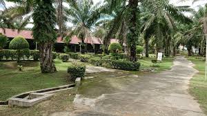 The hot pools are great, spacious and clean, the cold pool humongous and attractive. Pendapat Aku Mengenai Felda Residence Hot Spring Sg Klah Sungkai Ben Ashaari