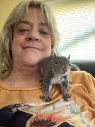 What's your squirrel's name(s)? Or do you have too many too name?