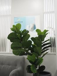 Explore log in sign up. Nanyfadhly Pengalaman Pertama Rawatan Muka Di Hannan Medispa Damansara Petaling Jaya