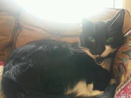 Sheri Levin (@sherbear3882)